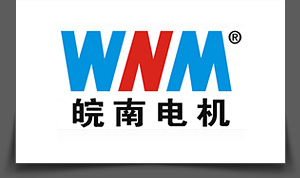 安徽j9数字站电机股份有限公司