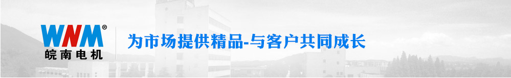 j9数字站电机 为市场提供精品