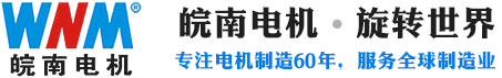 安徽j9数字站电机股份有限公司